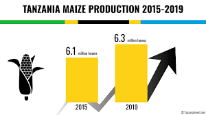 Maize Price Trend
